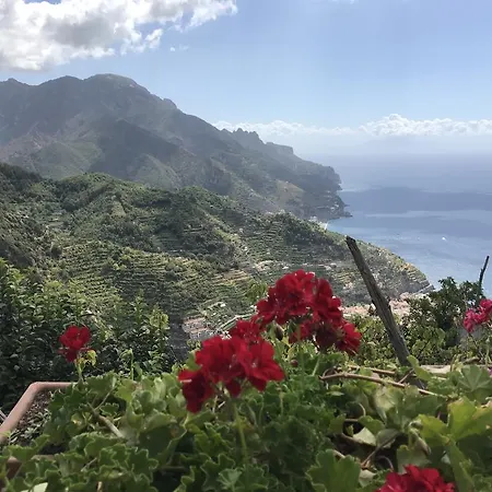 Casa vacanze I Giardini Di Rosa Ravello